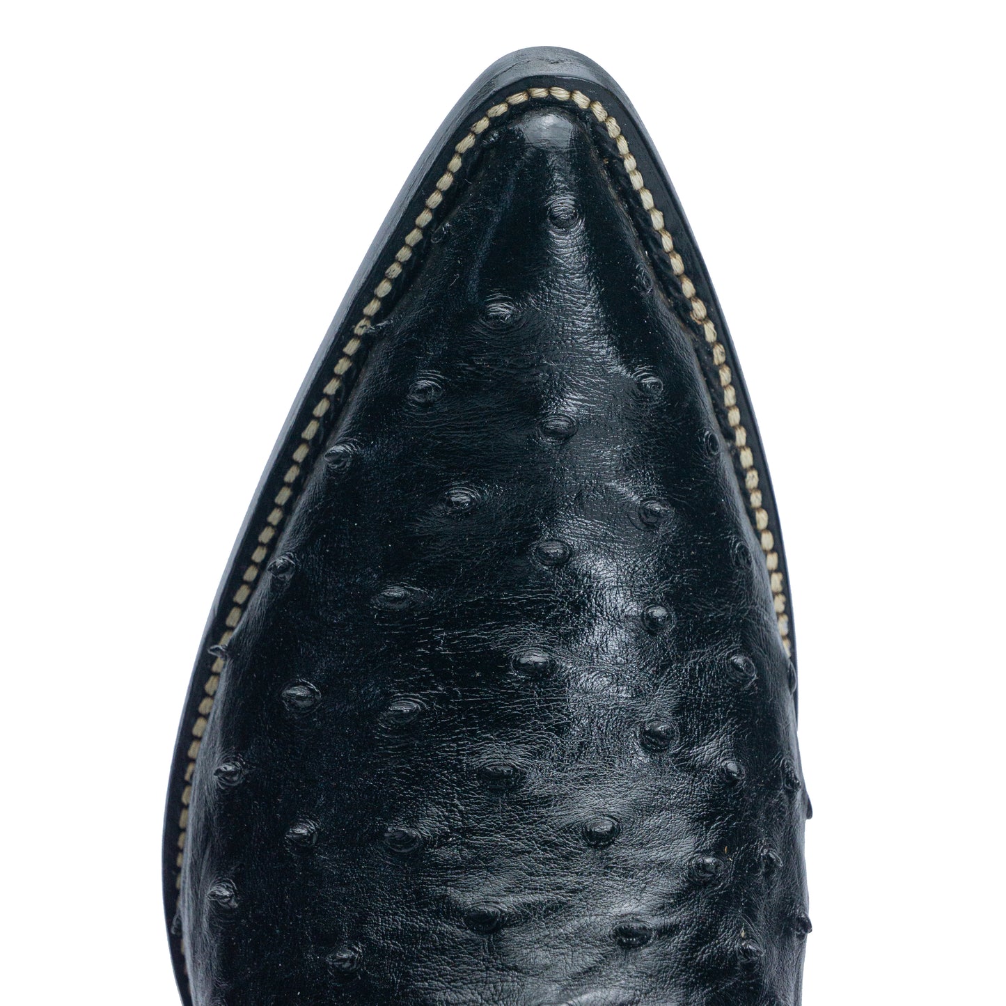 Ostrich Full Quill Black